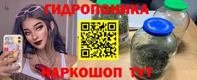 каннабис Будённовск