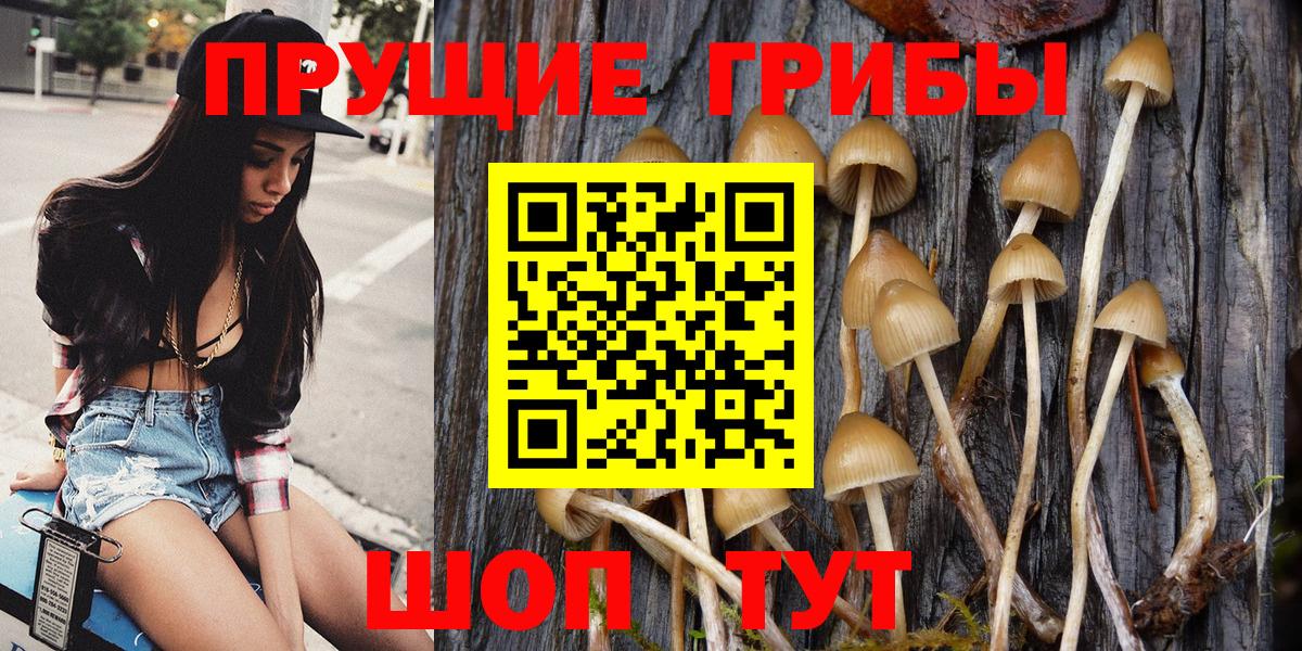 цены   Псилоцибиновые грибы ЛСД  Новозыбков  Вход с VPN  Псилоцибиновые грибы MAGIC MUSHROOMS 